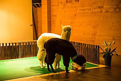 韩国动作游戏《DISORDER》发售 性感女主与伊芙不相上下